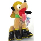 Pluto 31