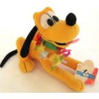 Pluto 33
